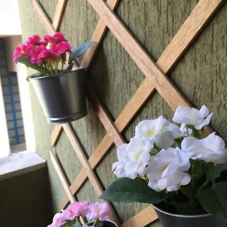 度假居 Matt5, Il Tuo Angolino Triestino